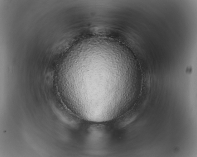 X0000112040271200908031524