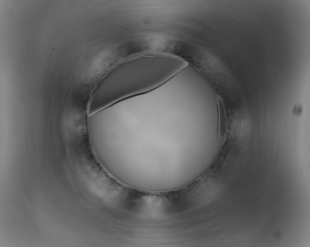 X0000112040272200908031524