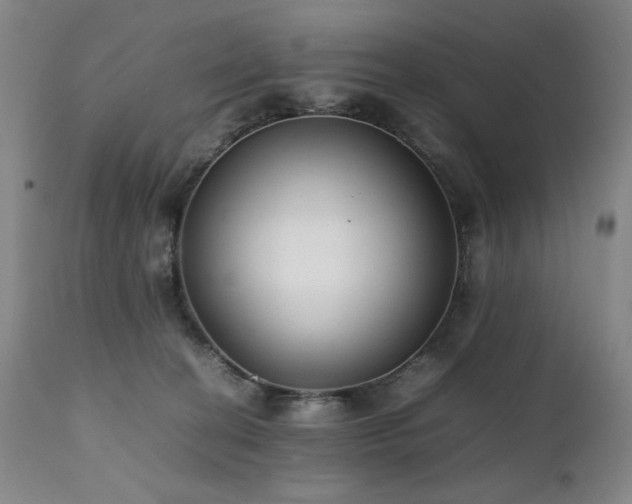 X0000112040274200908031524