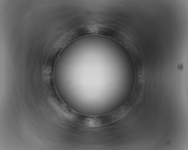 X0000112040275200908031524