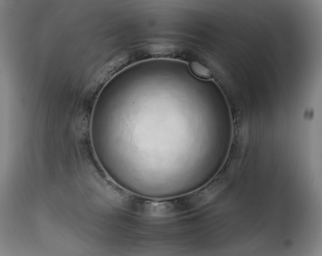 X0000112040277200908031524