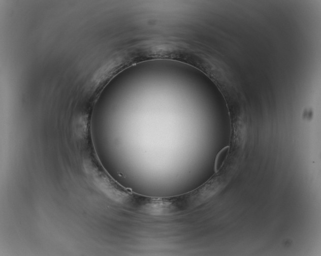 X0000112040278200908031524