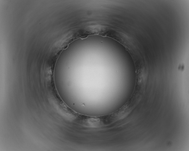 X0000112040279200908031524