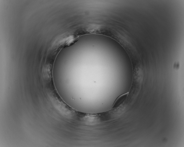 X0000112040280200908031524