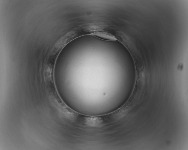 X0000112040281200908031524