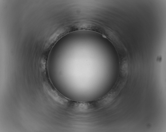X0000112040282200908031524