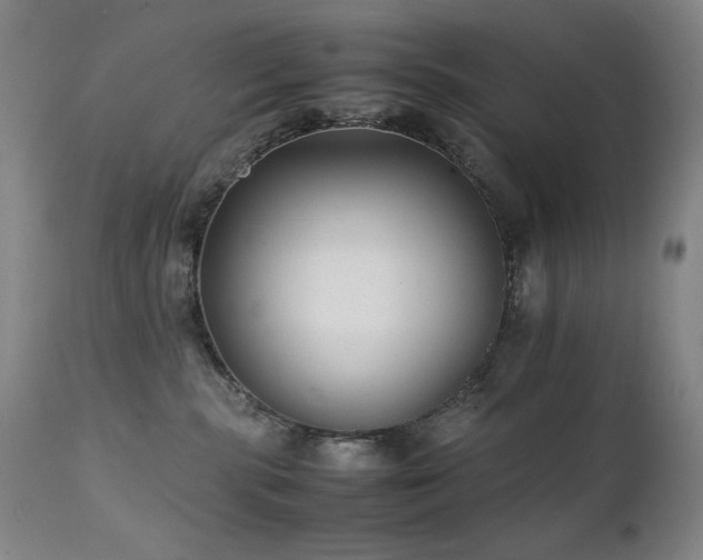 X0000112040283200908031524
