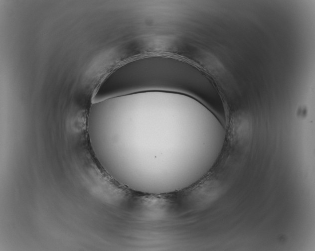 X0000112040284200908031524