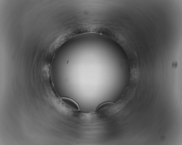 X0000112040286200908031524