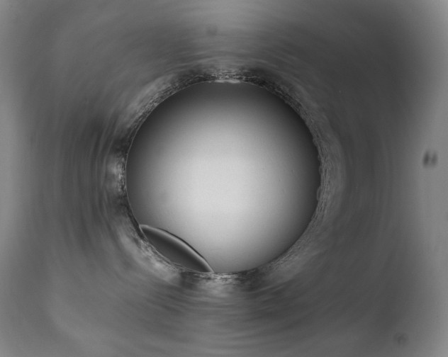 X0000112040288200908031524