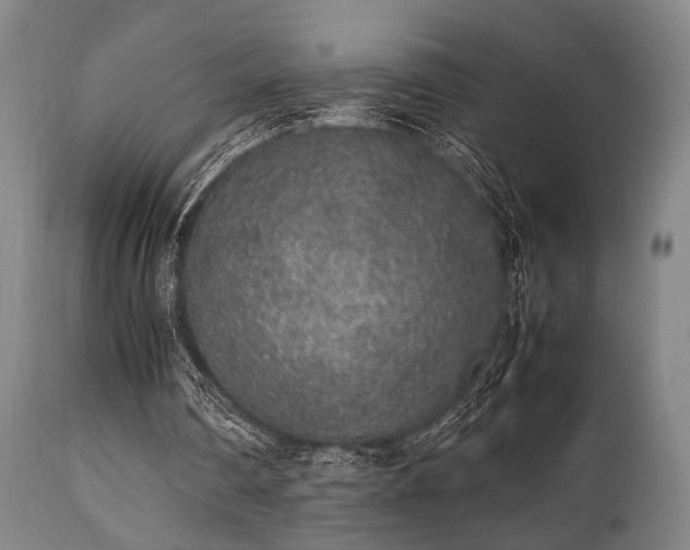 X0000112040290200908031523