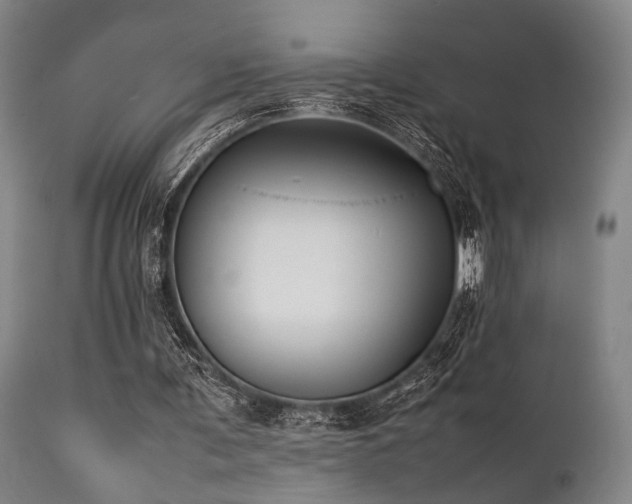 X0000112040291200908031523