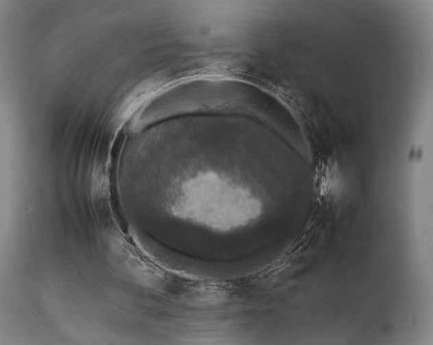 X0000112040292200908031523