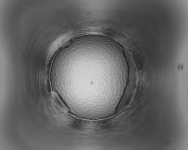 X0000112040293200908031523