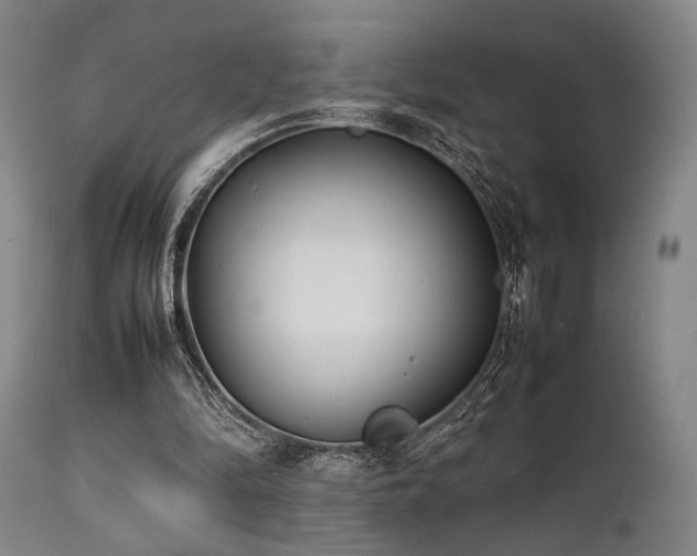 X0000112040294200908031523