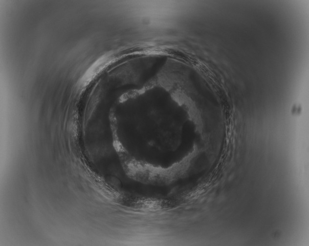 X0000112040295200908031523