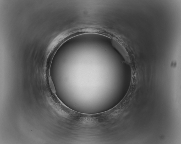 X0000112040296200908031523