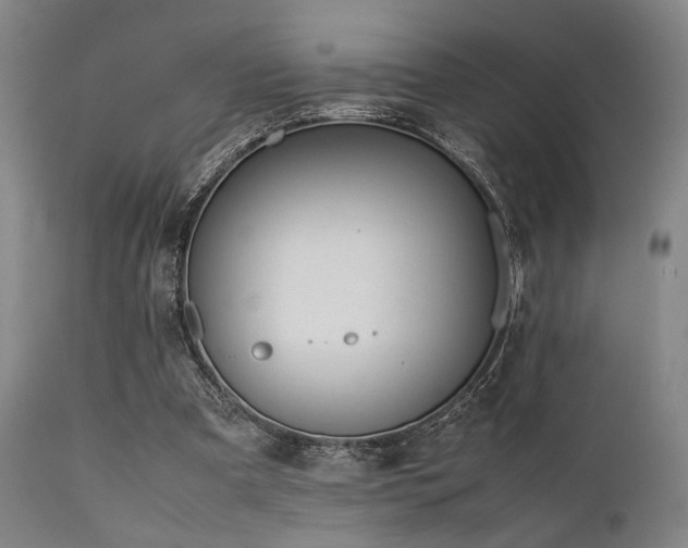 X0000112040297200908031523