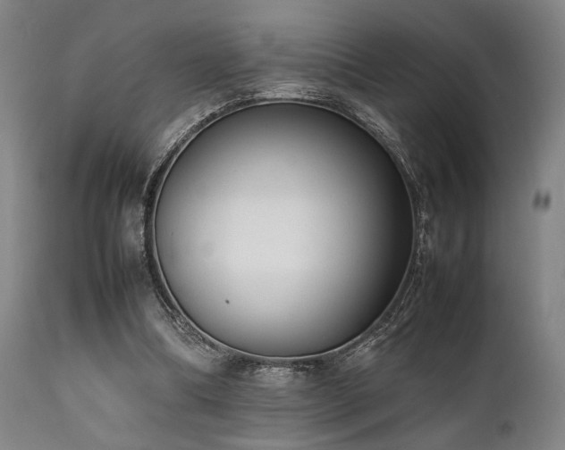 X0000112040298200908031523