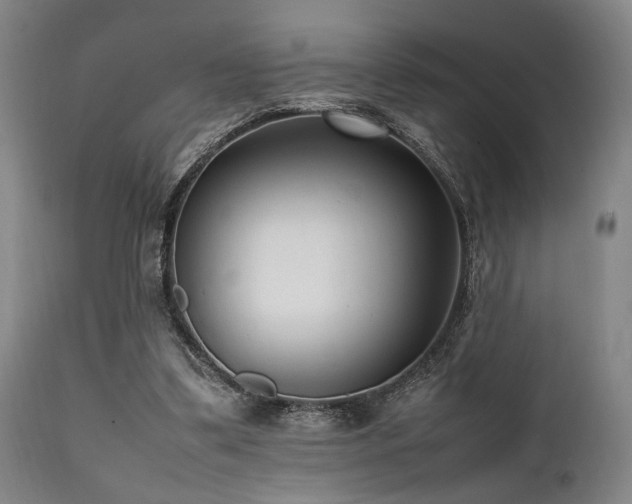 X0000112040299200908031523