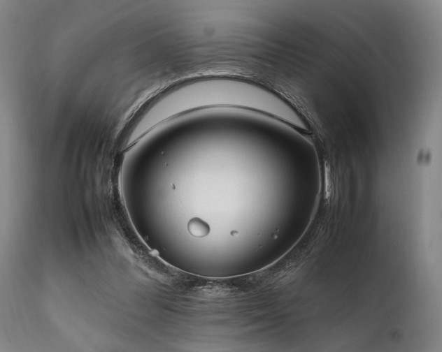 X0000112040300200908031523