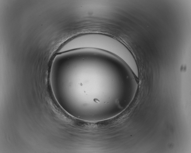 X0000112040301200908031523