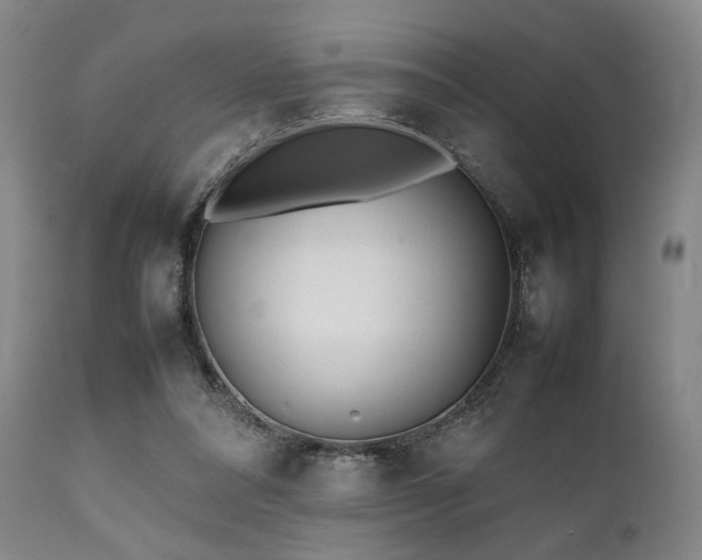 X0000112040304200908031523
