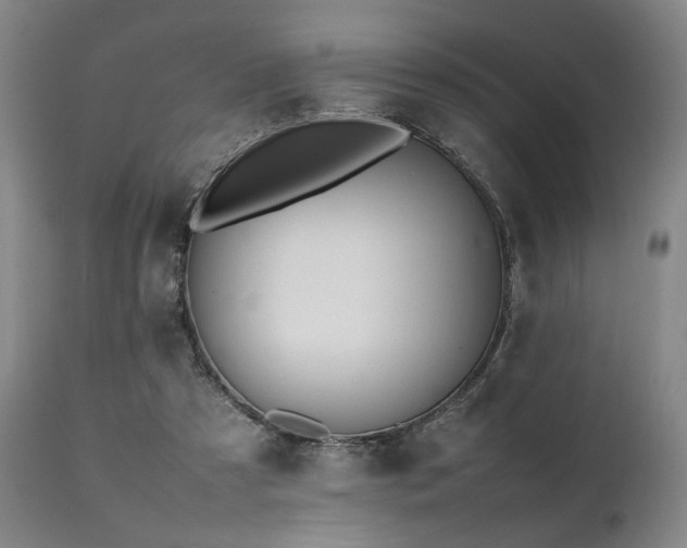 X0000112040305200908031523