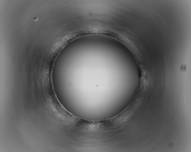 X0000112040306200908031523