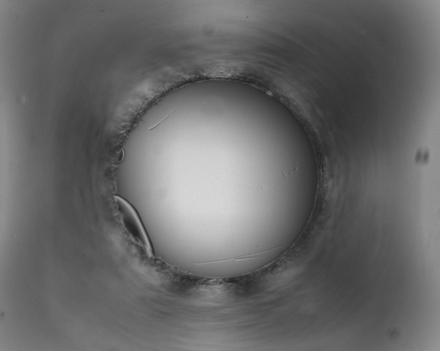 X0000112040307200908031523