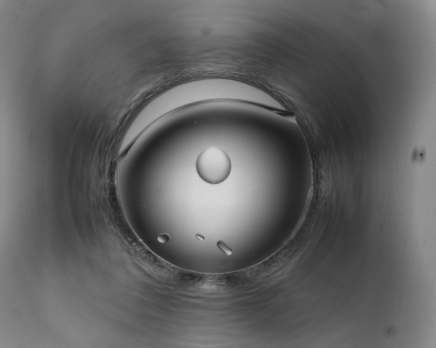 X0000112040308200908031523