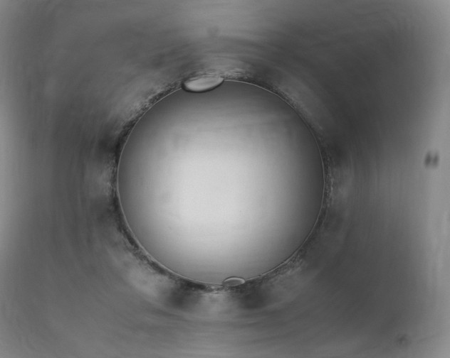 X0000112040309200908031523