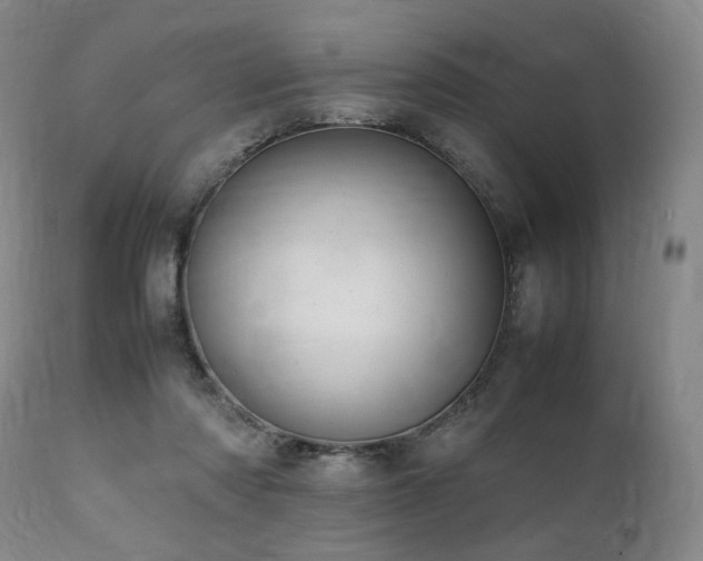 X0000112040310200908031523