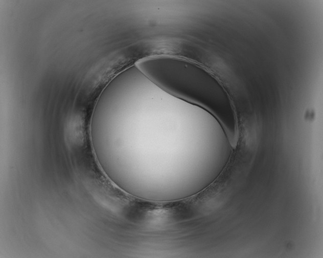 X0000112040312200908031523