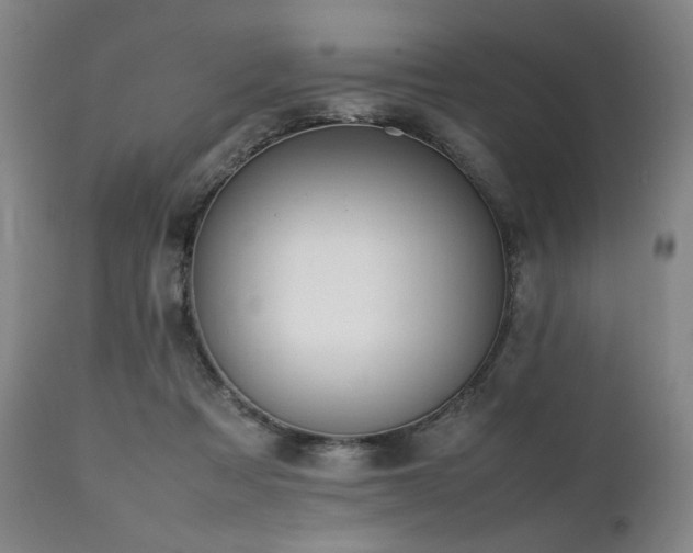 X0000112040313200908031523
