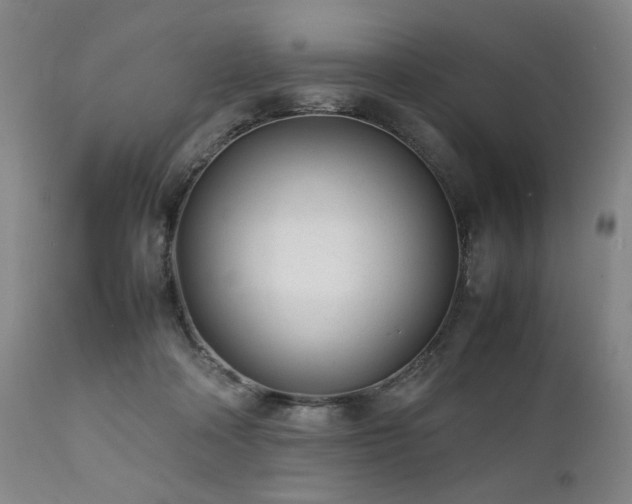 X0000112040314200908031523