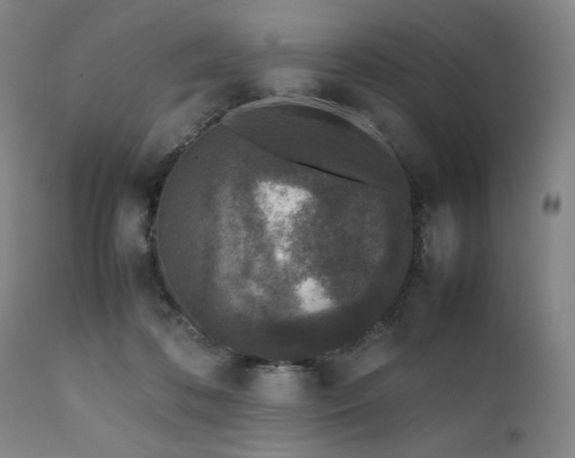 X0000112040316200908031523