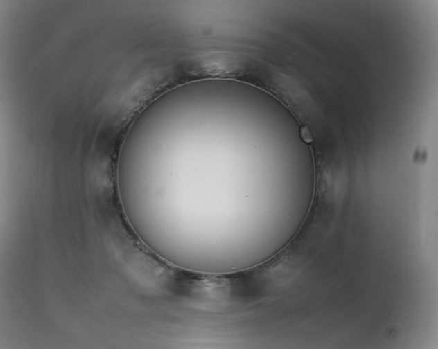 X0000112040317200908031523