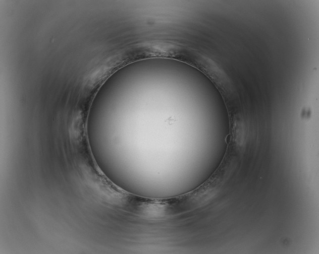 X0000112040318200908031523