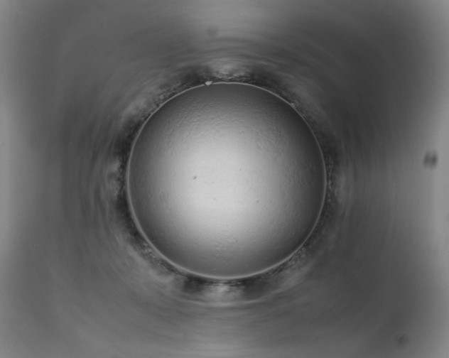 X0000112040319200908031523