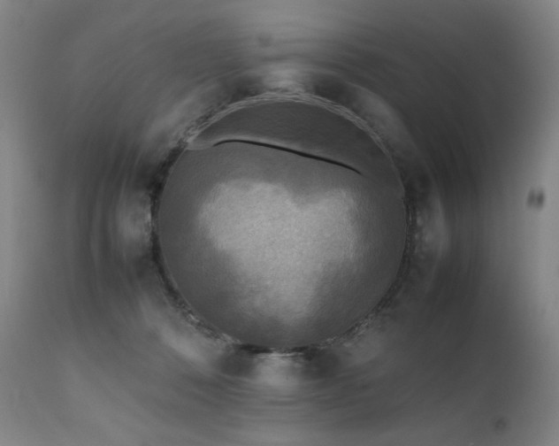 X0000112040320200908031523