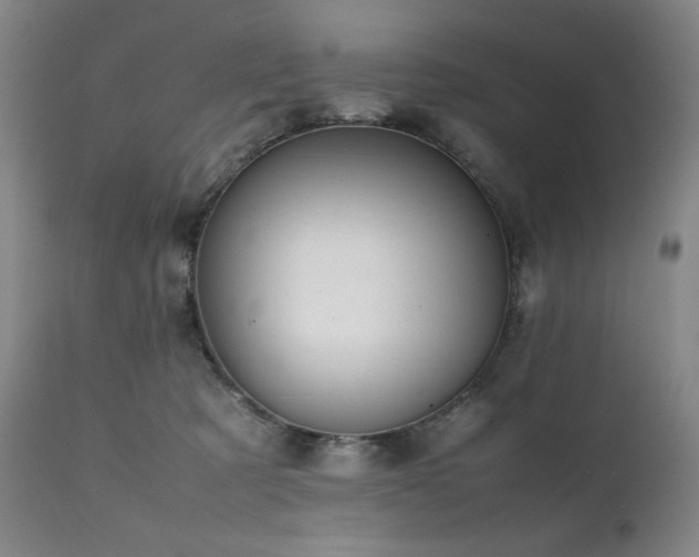 X0000112040321200908031523