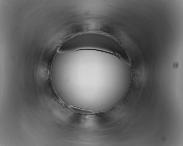 X0000112040324200908031523