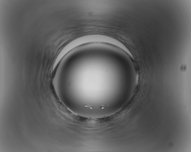 X0000112040325200908031523