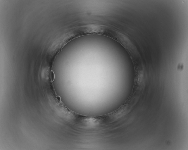 X0000112040326200908031523