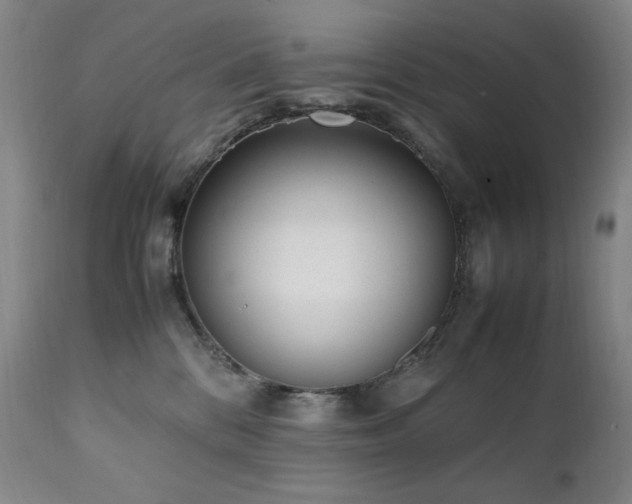 X0000112040328200908031523