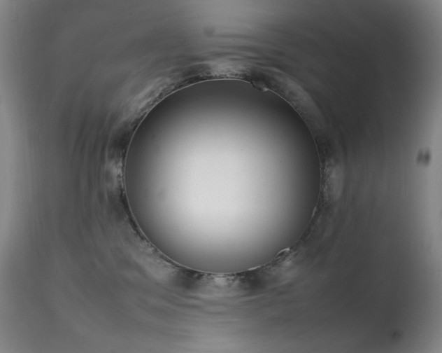 X0000112040329200908031523