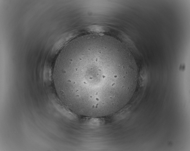X0000112040330200908031523