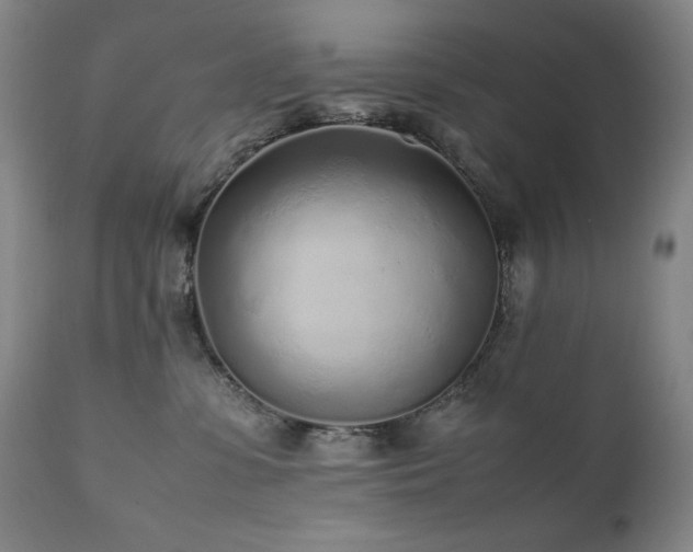 X0000112040331200908031523