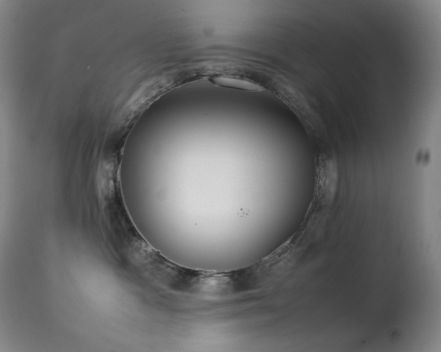 X0000112040333200908031522